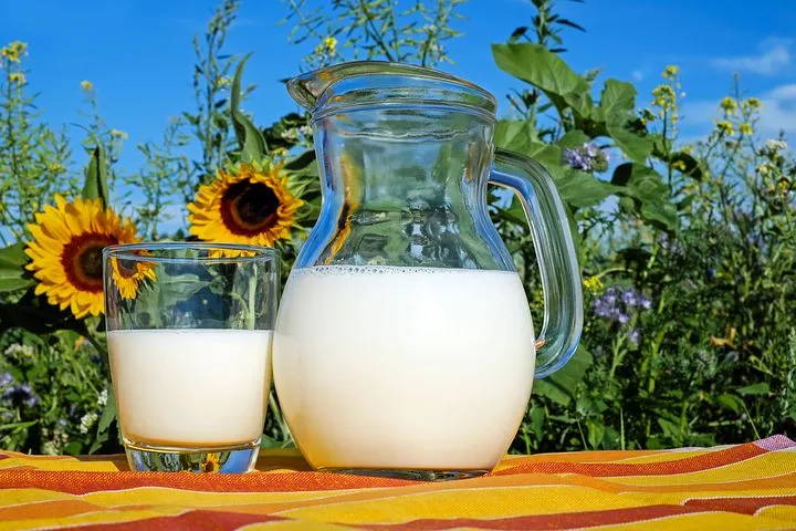 На Алтае жители сел жалуются на снижение цен при закупе молока 