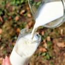 Экспорт алтайской молочной продукции вырос на 33%