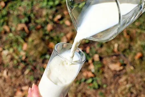 Экспорт алтайской молочной продукции вырос на 33% 