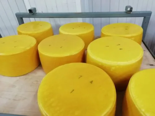 сырный продукт Российский  50%  ТУ в Бийске 3